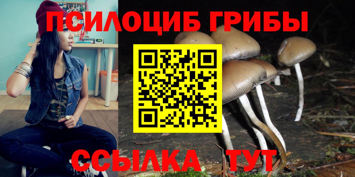 Псилоцибиновые грибы мухоморы Нижнеудинск