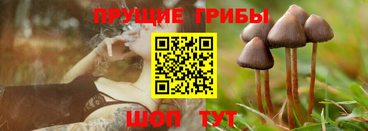 где найти   Галлюциногенные грибы GOLDEN TEACHER  Нижнеудинск  Вход с VPN  Галлюциногенные грибы Psilocybe 